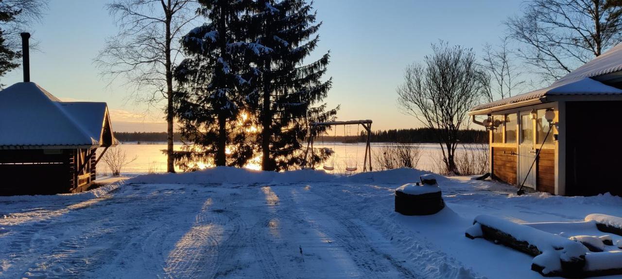 Punatulkku * Kalajoki