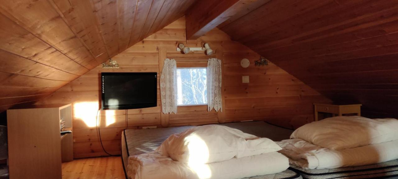 Punatulkku Kalajoki