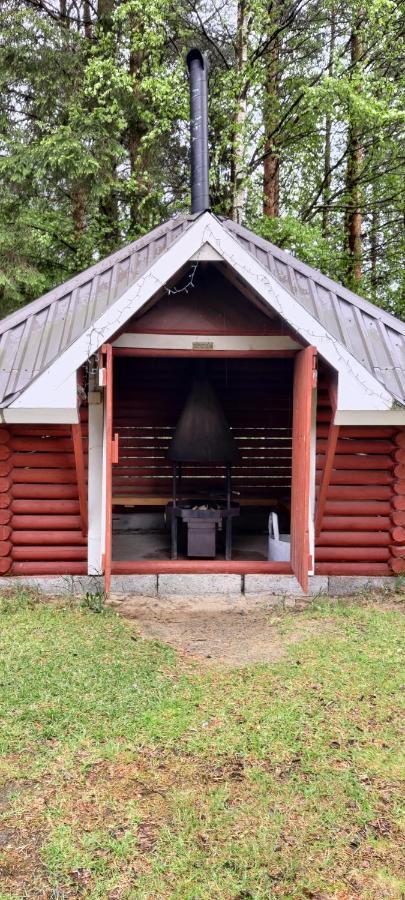 Punatulkku Kalajoki
